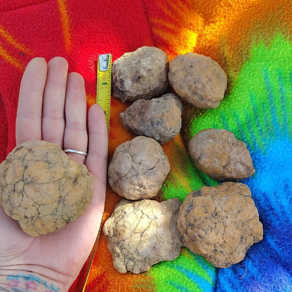 Geodes - Picture 3 of 5